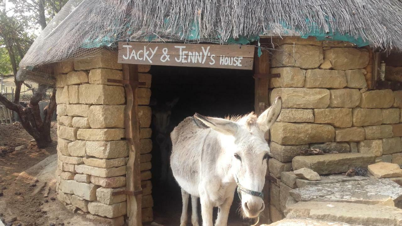 Hostal Rural Casa Pedro San Martín de Unx 外观 照片